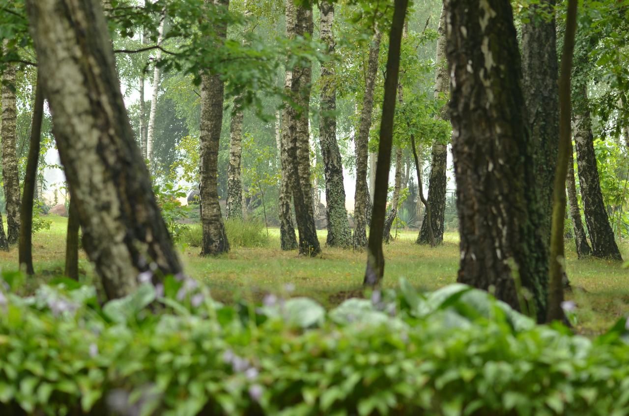 Дома для отпуска Zofijówka Осьякув-5